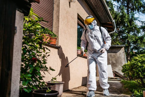 Best Local Pest Control Services  in Baldwin Park, CA