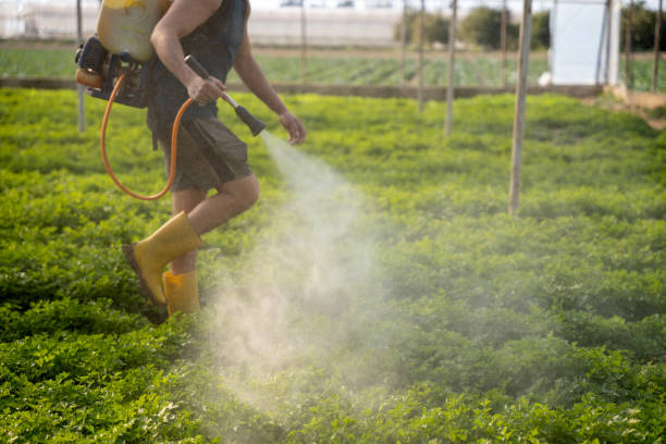 Professional Pest Control in Baldwin Park, CA