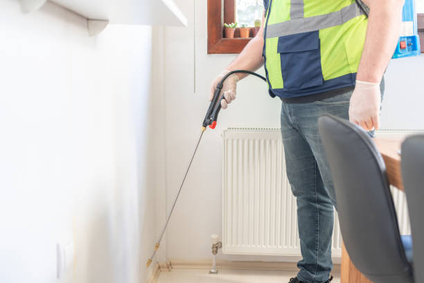 Best Rat Extermination Near Me  in Baldwin Park, CA