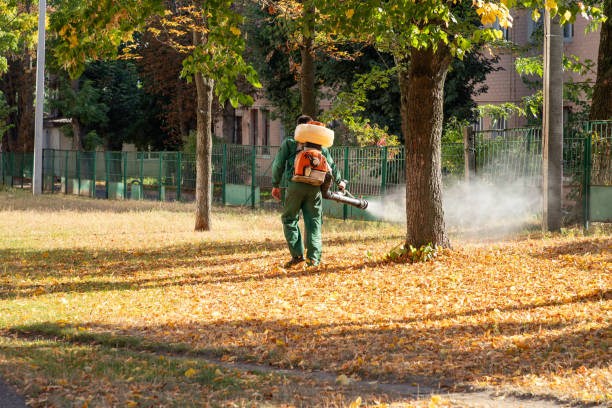  Baldwin Park, CA Pest Control Pros