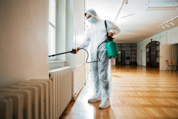 Best Best Pest Control Companies  in Baldwin Park, CA